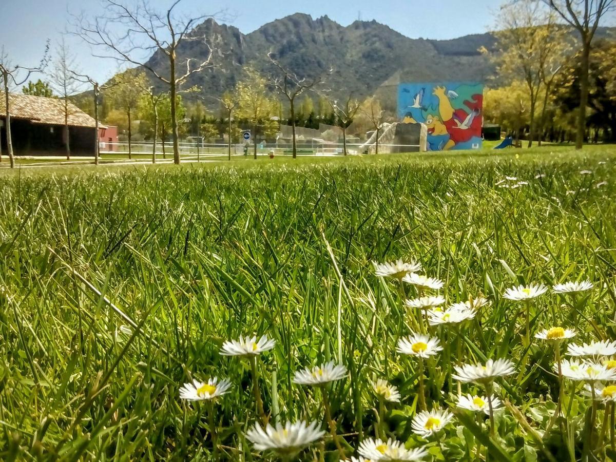 Camping Iratxe Ciudad De Vacaciones Айеги Экстерьер фото
